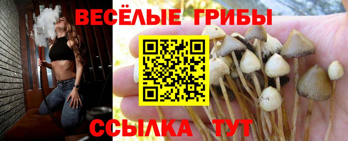 Галлюциногенные грибы Magic Shrooms  Галлюциногенные грибы мицелий  Вход с VPN  Протвино 