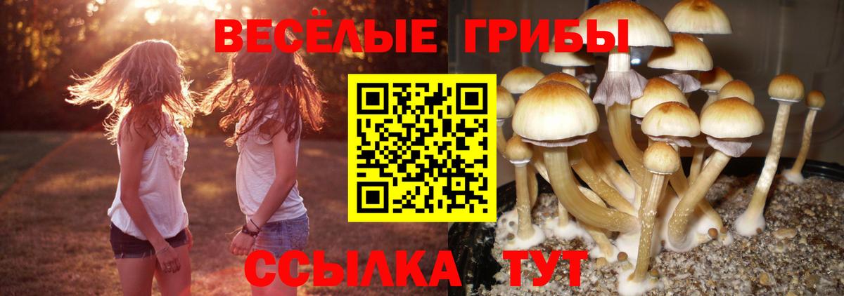 Галлюциногенные грибы ЛСД Протвино